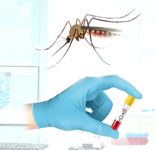 Is CBC Test Enough For Dengue?